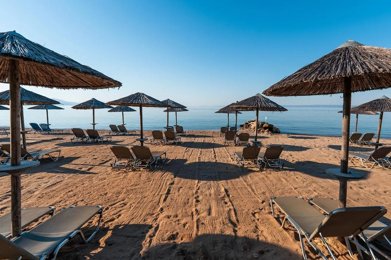 Complex Blue Dolphin Hotel Metamorfosi
