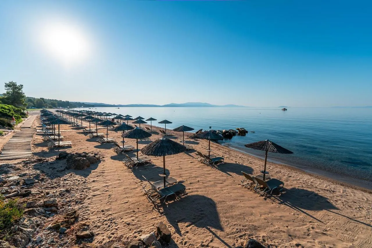 Blue Dolphin Hotel Metamorfosi  Metamorfosi (Sithonia)