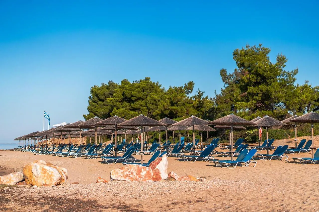 Complex Blue Dolphin Hotel Metamorfosi