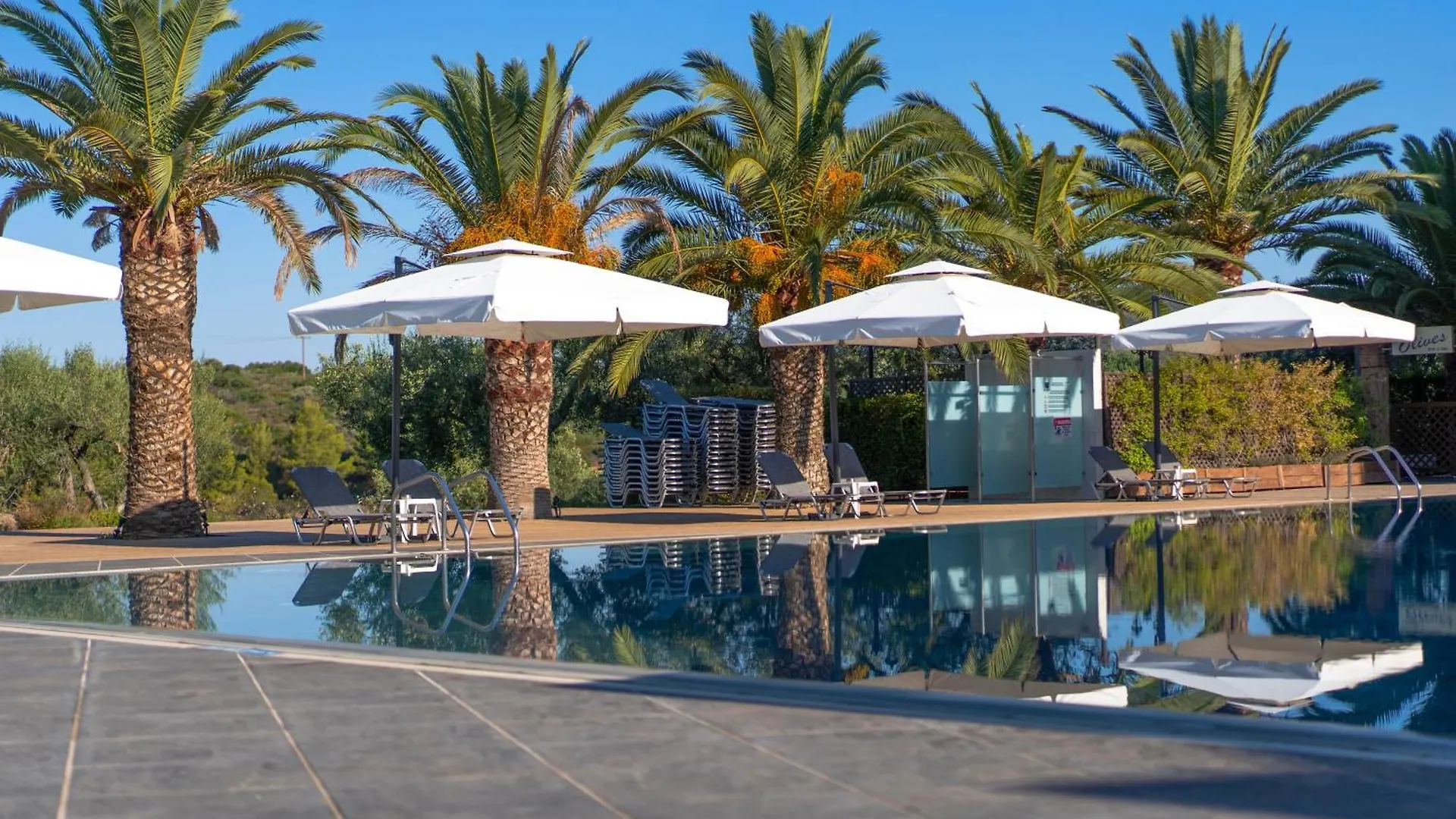 Resort Blue Dolphin Hotel Metamorfosi