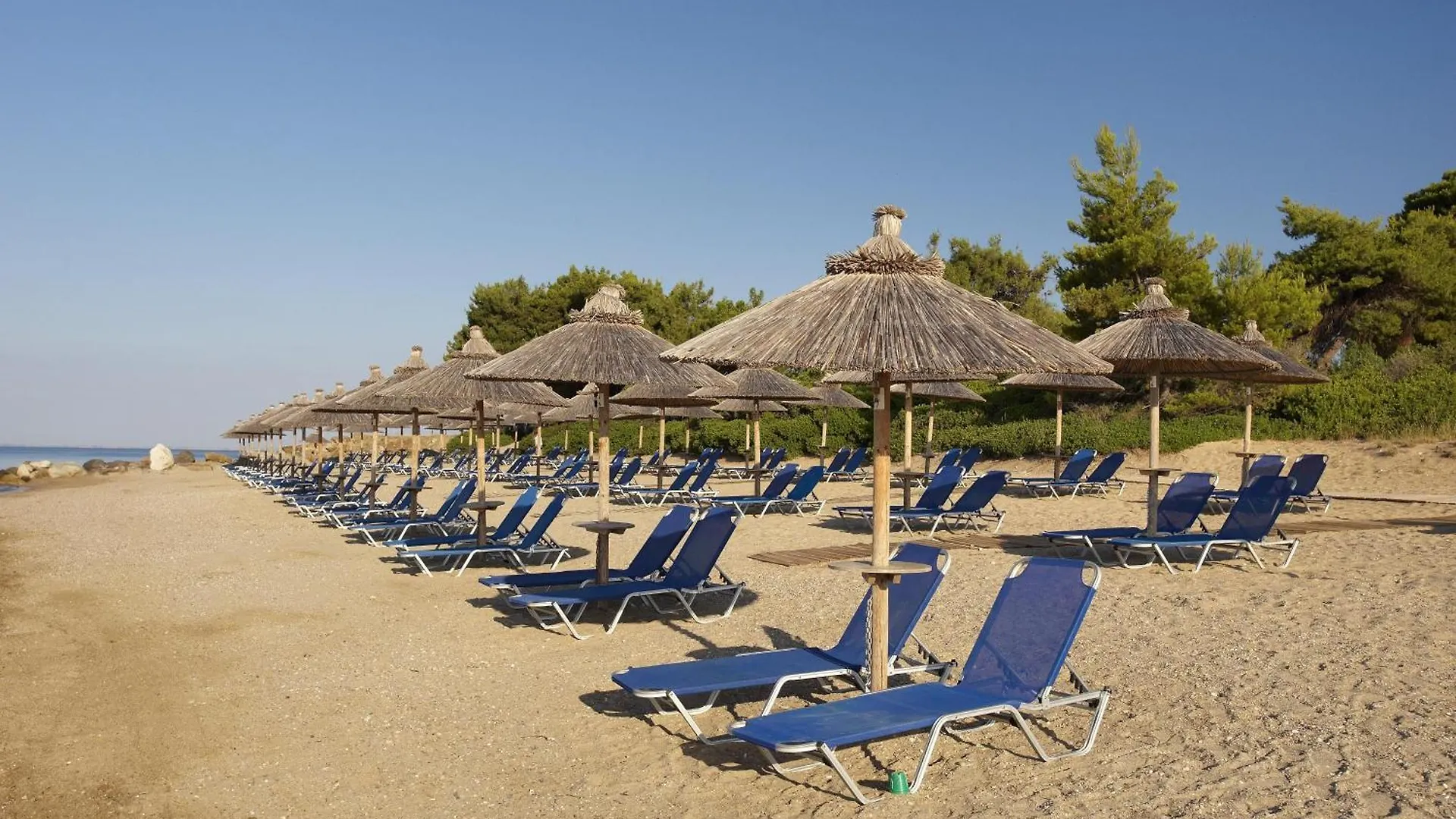Blue Dolphin Hotel Metamorfosi  Metamorfosi (Sithonia)