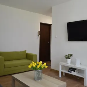 Kameralne Studio Vigo Polska